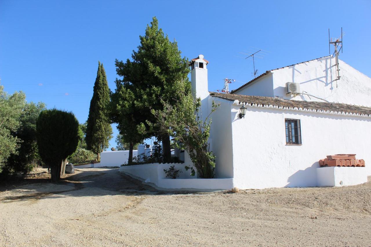 Casa Rural Faltriquera Setenil Setenil De Las Bodegas Zewnętrze zdjęcie