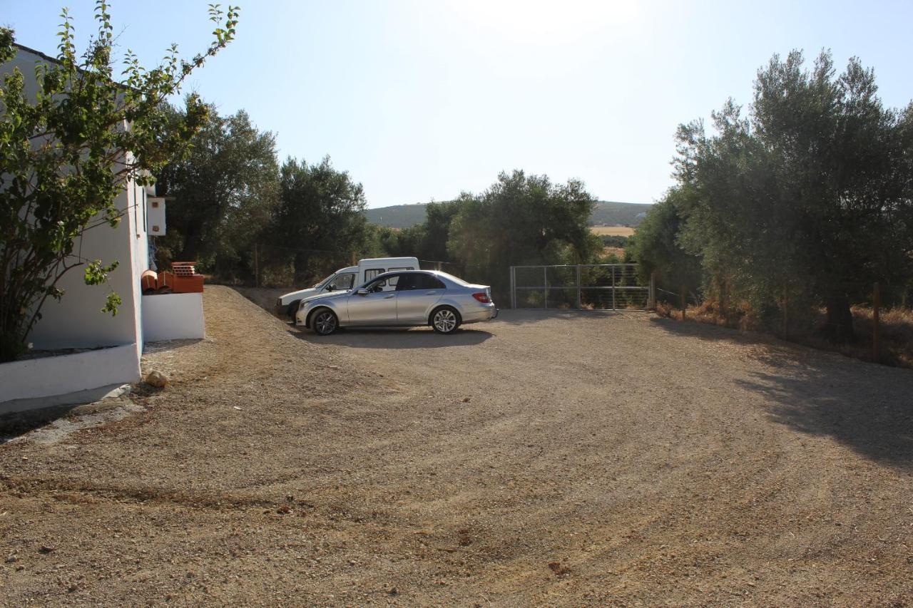 Casa Rural Faltriquera Setenil Setenil De Las Bodegas Zewnętrze zdjęcie