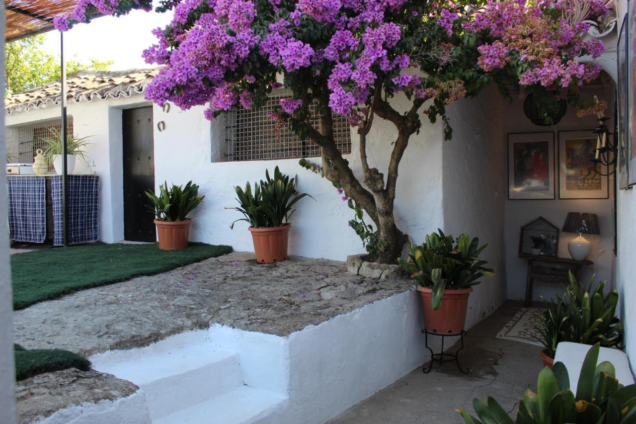 Casa Rural Faltriquera Setenil Setenil De Las Bodegas Zewnętrze zdjęcie